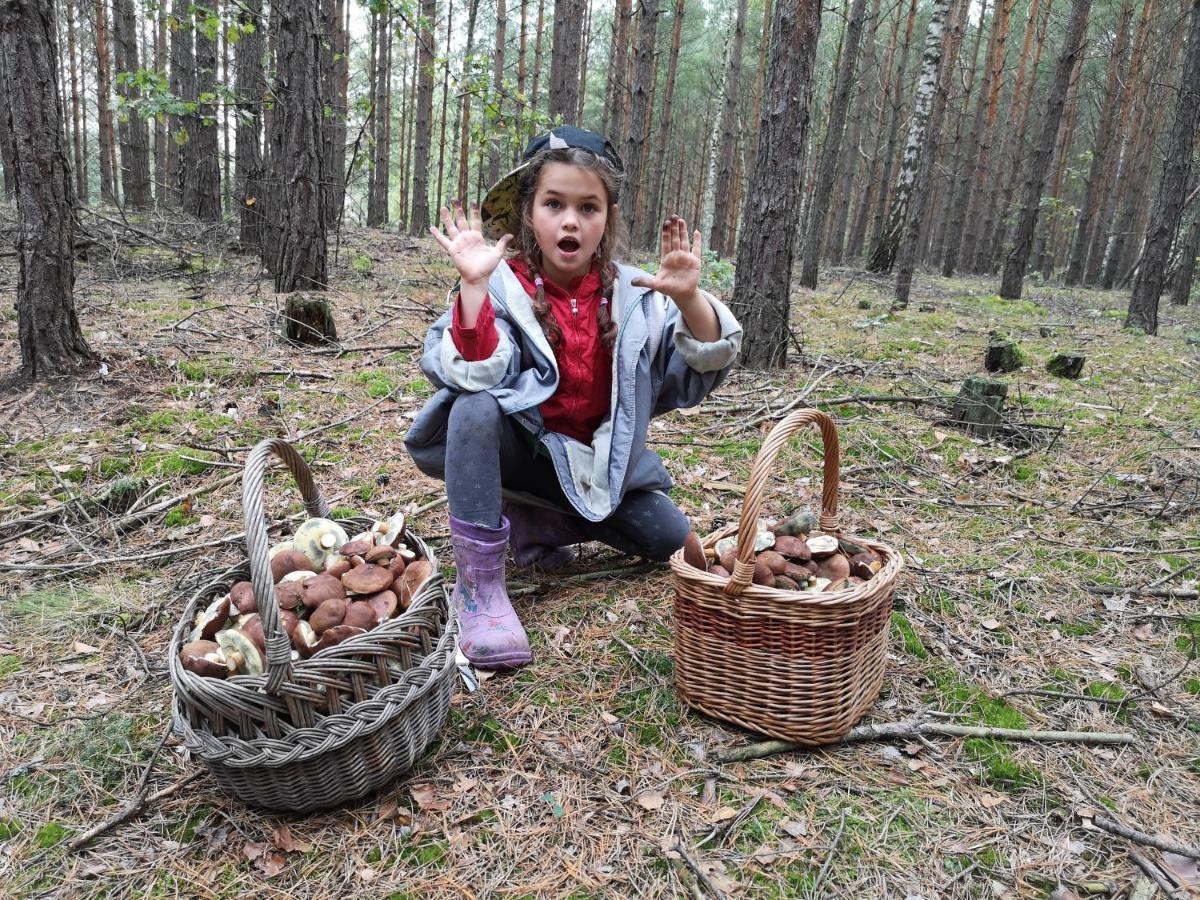 Agroturystyka Plener Miedzichowo Екстер'єр фото